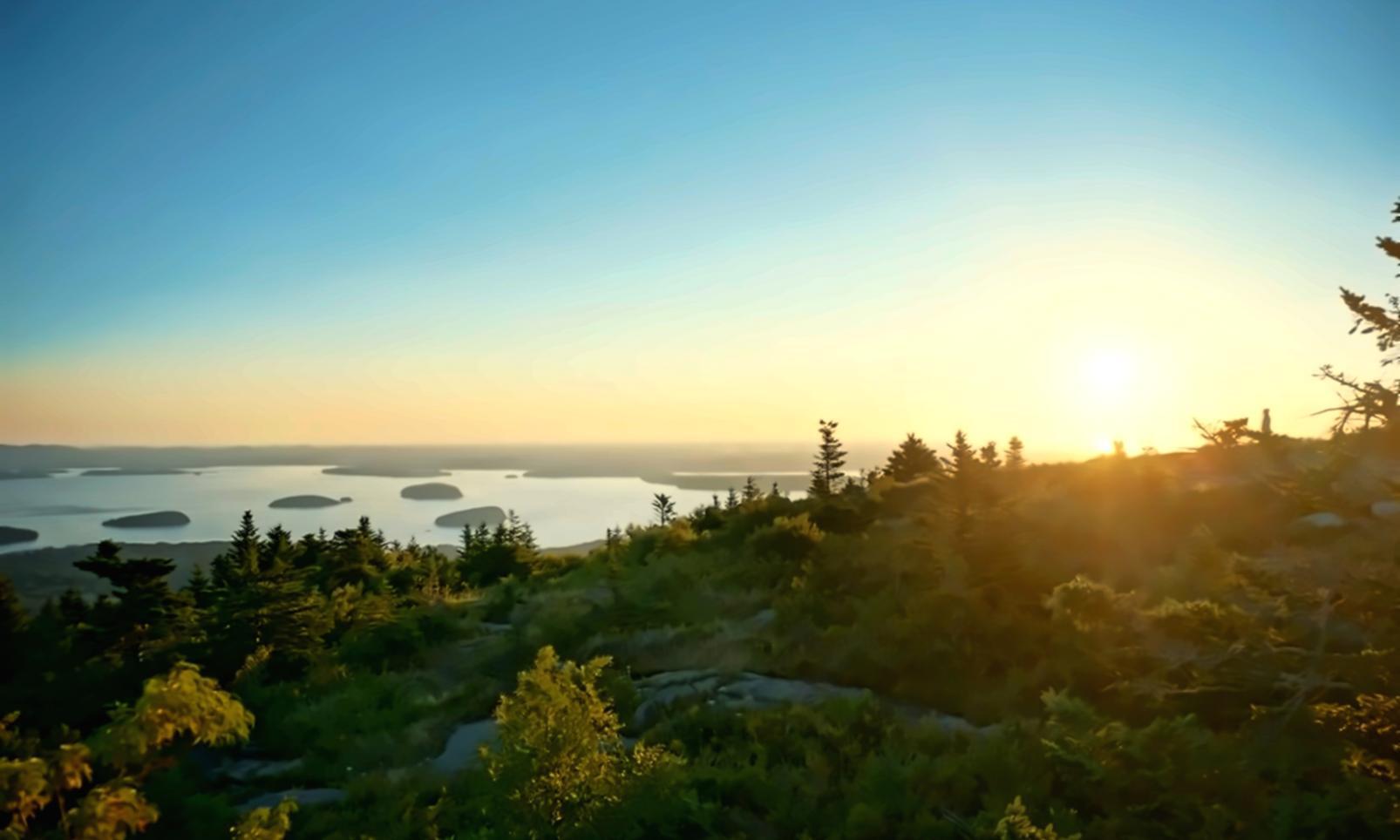 Изучение лесной экологии