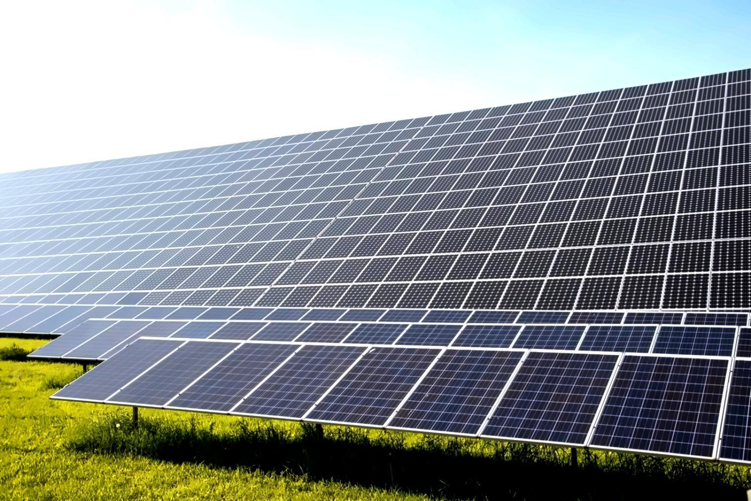 Смешанные лесные экосистемы