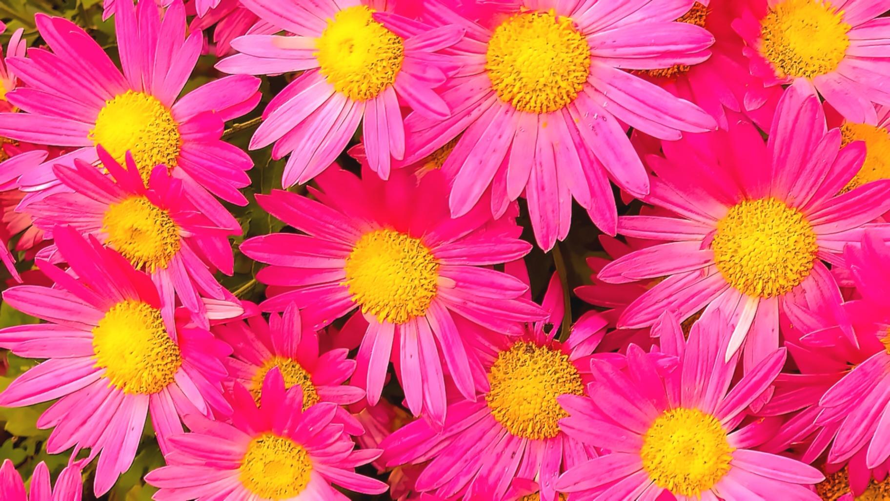 Видеолекции с полевым материалом